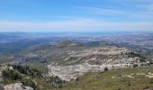 Randonnée Marche Allauch - le pic du Taoumé par Pichauris - Photo 7