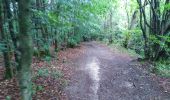 Tour Wandern Weismes - peak triple et cascade bayehon - Photo 4