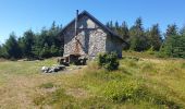 Trail Walking Sainte-Marie-aux-Mines - Col des Bagenelles et les deux Brézouard - Photo 20