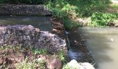 Tour Wandern Rivière-Salée - Boucle Trenelle Dede duharoc - Photo 1