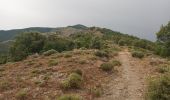 Tocht Stappen Val-d'Aigoual - Cascade d'Orgon-15-06-22 - Photo 2