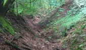 Trail On foot Schmallenberg - Fleckenberg Rundweg F5 - Photo 1