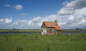 Tour Zu Fuß Hoeksche Waard - Blauwe wandelroute - Photo 4