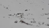 Trail Snowshoes Bonneval-sur-Arc - Le Duis par Ecot - Photo 4