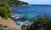 Randonnée Marche Ramatuelle - Bonne Terrasse - Cap Camarat - Plage de l'Escalet - Pointe de la Douane - Cap Lardier - Pointe de Brouis - Plage de Gigaro - Photo 16