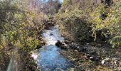 Tour Wandern Seillons-Source-d'Argens - Rocher des abeilles-02-02-2022 - Photo 2