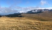 Tocht Stappen Bouvante - Tour du Plateau d’Ambel - Photo 4