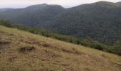 Trail Walking Orcines - Ballade au Puy de Cōme - Photo 5