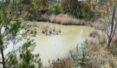 Trail Walking Fréjus - Depuis la Louve en boucle - Photo 17
