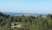Trail Walking Marseille - Marseilleveyre-sommet-1105-22 - Photo 2