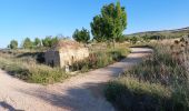 Tour Wandern Los Arcos - 2023 07 viana - Photo 14