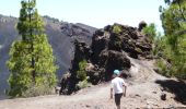 Tour Wandern El Paso - Wikiloc - La Palma: Cumbre Vieja Vulkaanroute half - Photo 4