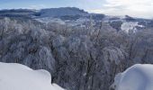 Randonnée Raquettes à neige Léoncel - Le Grand Echaillon - Les Crêtes de la Sausse - Photo 15