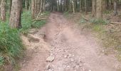 Trail Walking Fraize - mp fraize 2021 - Photo 8