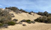 Excursión Senderismo San Bartolomé de Tirajana - Les dunes de Maspalomas (Gran Canaria) - Photo 13