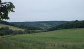 Randonnée A pied Großheringen - Rundweg Kaatschen-Tultewitz - Photo 5