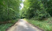 Trail Walking Orrouy - en Forêt de Compiègne_41_autour des Petits Monts - Photo 18