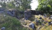 Trail Walking Hohrod - Circuit historique 1914-1918 Hohrodberg - Linge - Photo 9
