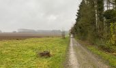 Trail Walking Fernelmont - Franc Waret 23 km - Photo 18
