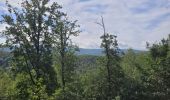 Tour Wandern Viroinval - rando oignies 15 -08-2023 - Photo 4