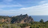 Tour Wandern Cassis - Crêtes de la Ciotat  - Photo 15