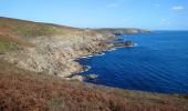 Excursión Senderismo Cléden-Cap-Sizun - Pointe du Van - Pointe du Raz par le GR34 - 13.5km 310m 4h10 (40mn) - 2019 09 04 - Photo 8