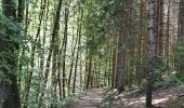 Trail Walking Les Planches-en-Montagne - Montliboz - Gorges de la Langouette  - Photo 5