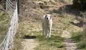 Randonnée Marche Castellane - Chasteuil (04) ; Cadières de Brandis - Photo 7