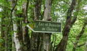 Tour Wandern Doucier - randonnée des belvédère  - Photo 3