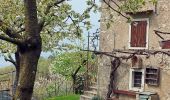 Tour Zu Fuß Malcesine - Faigolo - Prai di Malcesine - Photo 8