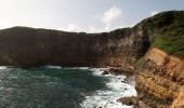 Trail Walking Le Moule - Anse Petite Savane - Anse à l'Eau - Photo 2