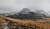 Tocht Te voet Unknown - Out-and-back walk to Harris from Kinloch - Photo 3