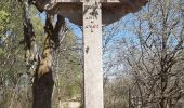 Trail Walking Spa - spa de la ville a la fagne - Photo 4