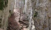 Trail Walking Ferrette - Ferrette Chalet de Koestlach au Kastelberg - Photo 3