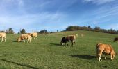 Tocht Stappen La Talaudière - Buissonnière  - Photo 3