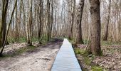 Trail Walking Sint-Truiden - Promenade dans le domaine provincial 