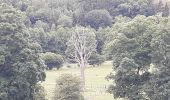 Tour Wandern Stablo - rando de la truite : stavelot . challes . warche . chevaufosse . challes . stavelot - Photo 10