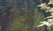 Tour Wandern Gavarnie-Gèdre - Cirque de lis  - Photo 5