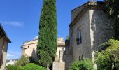 Tocht Stappen Vaison-la-Romaine - Vaison la romaine - Photo 2