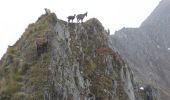 Percorso A piedi Carona - Sentiero delle Orobie Occidentali - Tappa 6 - Photo 3