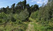 Trail Walking Court-Saint-Étienne - La Roche-Sart Messire Guillaume-La Roche - Photo 18