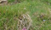 Tour Wandern Megève - Croisse Baulet - Photo 9