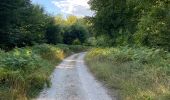 Trail Walking Neurey-en-Vaux - Autour de Neurey en vaux ( idéal en été )  - Photo 1