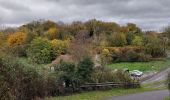 Tour Wandern Namen - Malonne 171122 - Photo 9