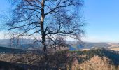 Randonnée Marche Mont Lozère et Goulet - Oultet/Lozerette/Les Sagne/Auriac - Photo 4