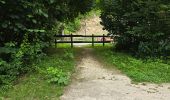 Tocht Stappen Saint-Hilaire - Saint-Hilaire - Géosite et abri gravé - Photo 1