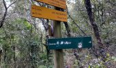 Trail Walking Saint-Laurent-le-Minier - Saint Laurent le minier Pic d’Anjeau - Photo 7