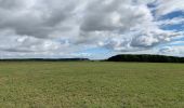 Excursión Senderismo La Roche-en-Ardenne - Transardennaise 1 - Photo 10