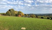 Excursión Senderismo Virton - La Charmouthienne_boucle_Ethe_15km_2019-10-13 - Photo 3