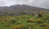 Tour Wandern West Cork - Hungry Hill - Photo 17